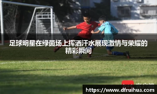 金年会金字招牌